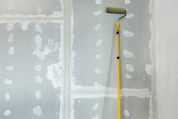  Mount Airy, MD Mold Removal Pros