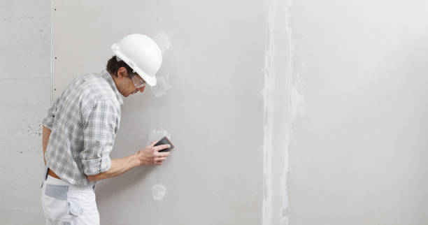 Best Mold Damage Restoration  in Mount Airy, MD