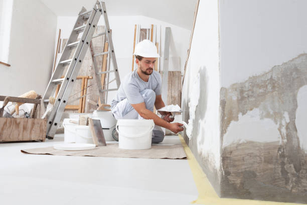 Best Environmental Consulting for Mold Prevention  in Mount Airy, MD
