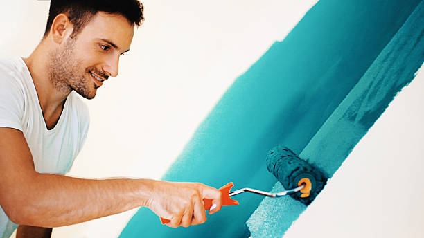 Best Emergency Mold Remediation  in Mount Airy, MD