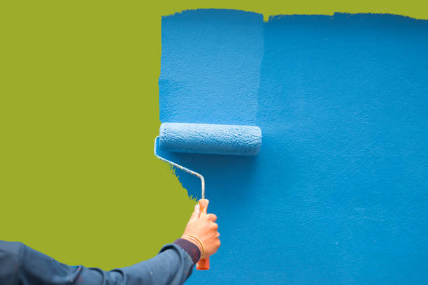 Best Biohazard Mold Removal  in Mount Airy, MD