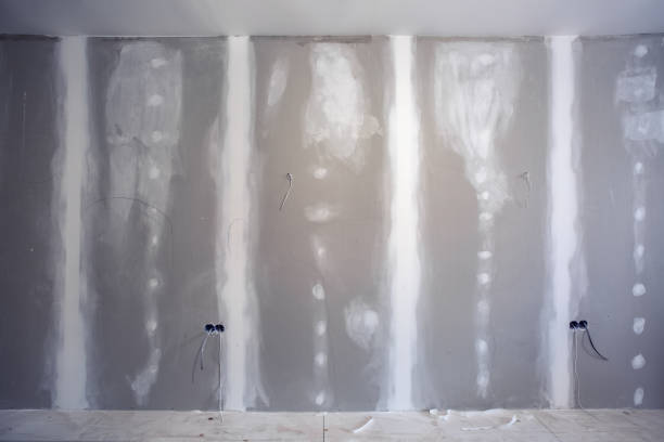 Mold Remediation for Vacation Homes in Mount Airy, MD