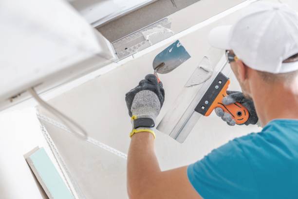 Best Residential Mold Inspection & Testing  in Mount Airy, MD